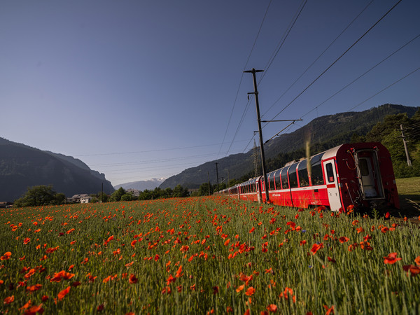 Bonaduz, Graubünden, Schweiz, Switzerland