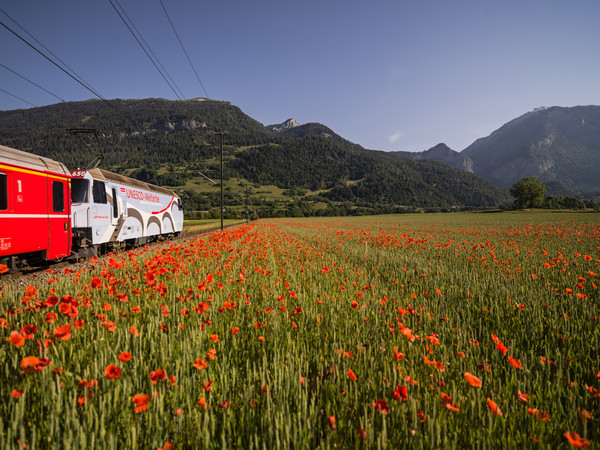 Bonaduz, Graubünden, Schweiz, Switzerland