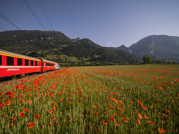 Bonaduz, Graubünden, Schweiz, Switzerland