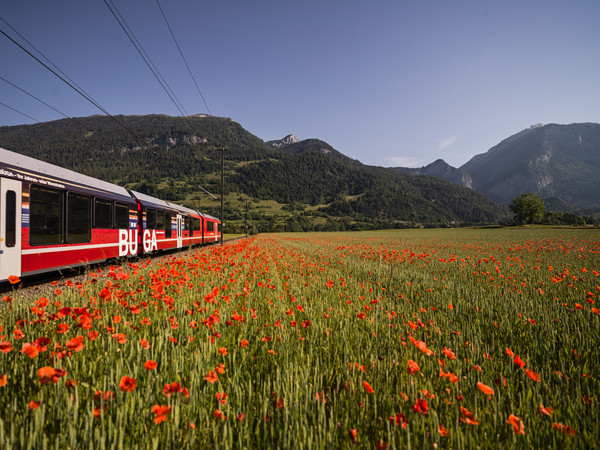 Bonaduz, Graubünden, Schweiz, Switzerland