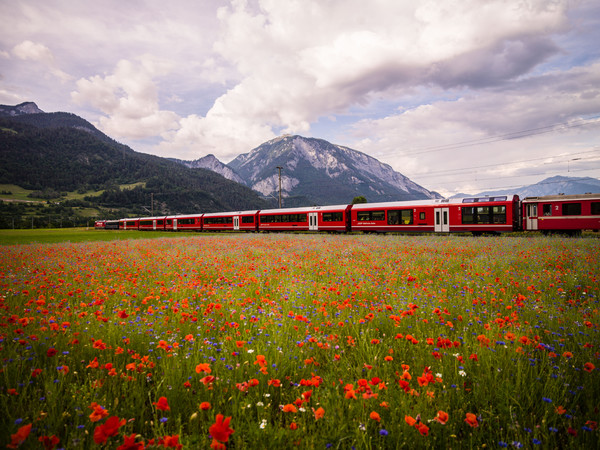 Bonaduz, Graubünden, Schweiz, Switzerland