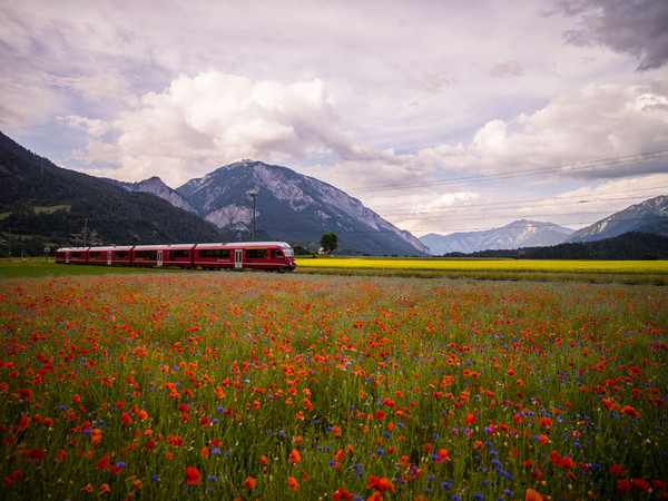 Bonaduz, Graubünden, Schweiz, Switzerland