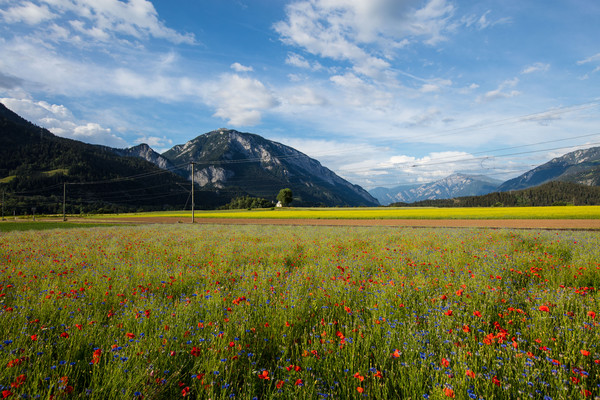 Bonaduz, Graubünden, Schweiz, Switzerland