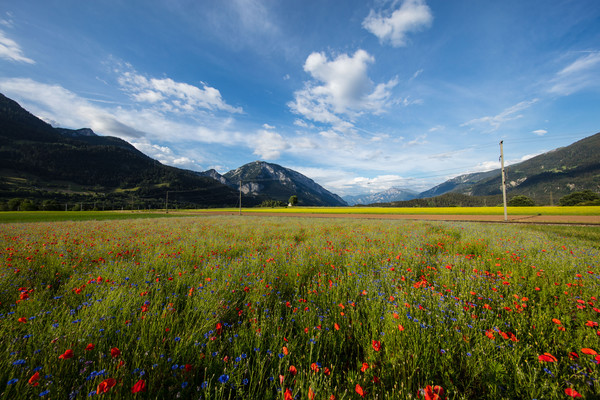 Bonaduz, Graubünden, Schweiz, Switzerland