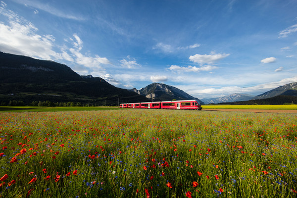 Bonaduz, Graubünden, Schweiz, Switzerland