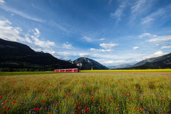 Bonaduz, Graubünden, Schweiz, Switzerland