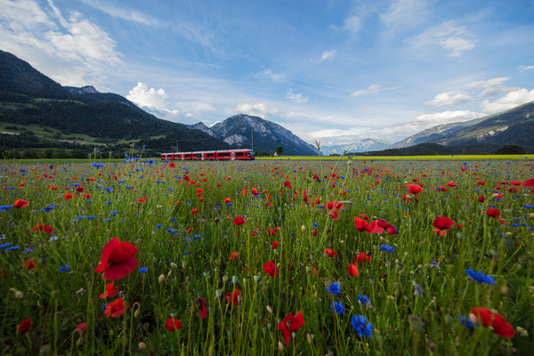 Bonaduz, Graubünden, Schweiz, Switzerland