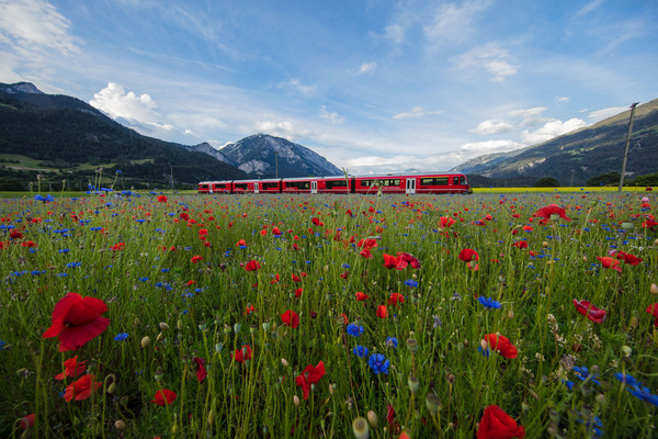 Bonaduz, Graubünden, Schweiz, Switzerland