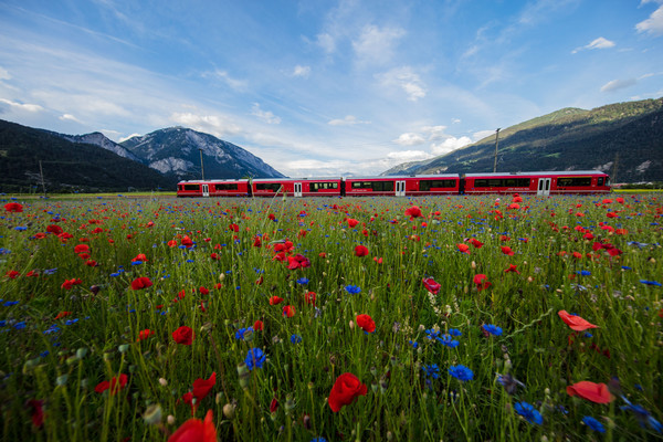 Bonaduz, Graubünden, Schweiz, Switzerland