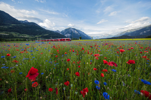 Bonaduz, Graubünden, Schweiz, Switzerland