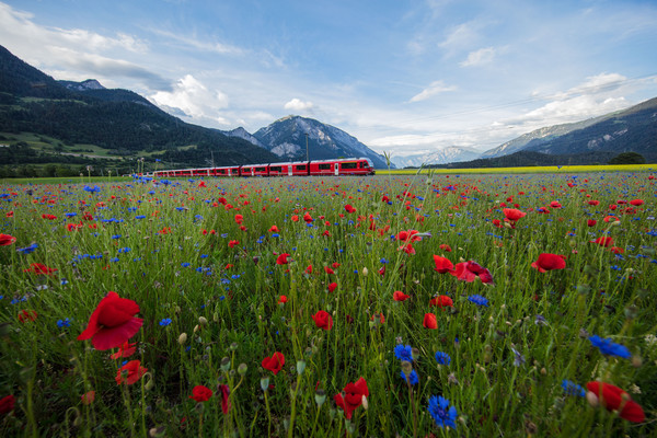 Bonaduz, Graubünden, Schweiz, Switzerland