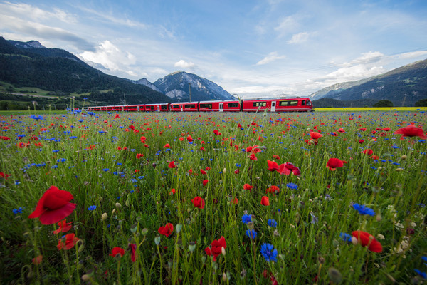 Bonaduz, Graubünden, Schweiz, Switzerland