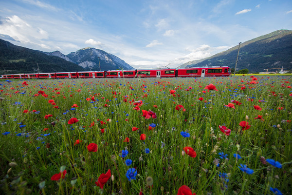 Bonaduz, Graubünden, Schweiz, Switzerland