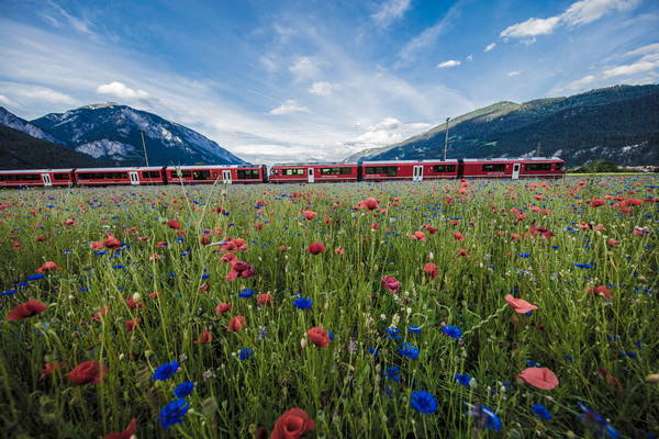 Bonaduz, Graubünden, Schweiz, Switzerland