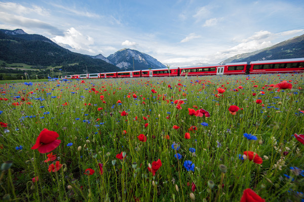 Bonaduz, Graubünden, Schweiz, Switzerland