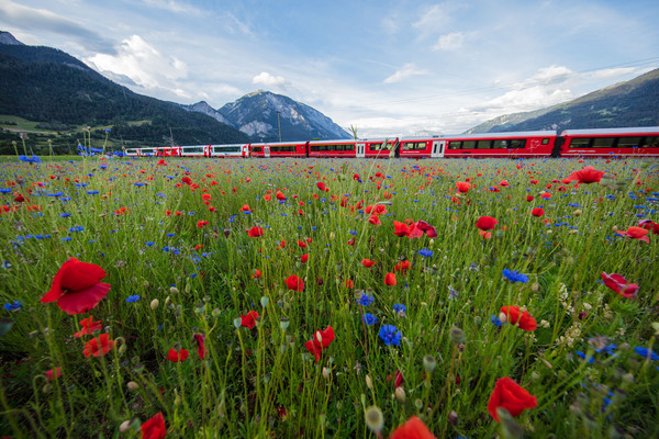 Bonaduz, Graubünden, Schweiz, Switzerland