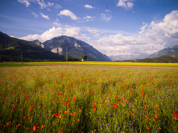 Bonaduz, Graubünden, Schweiz, Switzerland