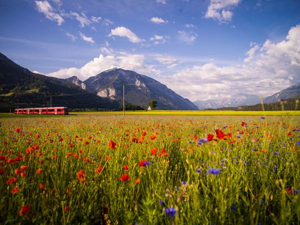 Bonaduz, Graubünden, Schweiz, Switzerland