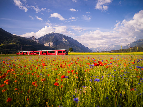 Bonaduz, Graubünden, Schweiz, Switzerland