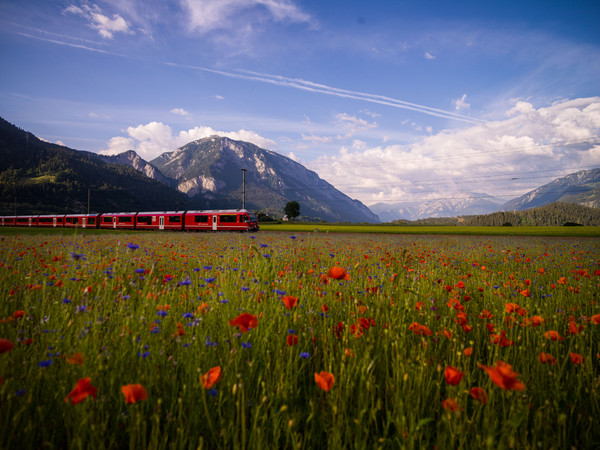 Bonaduz, Graubünden, Schweiz, Switzerland