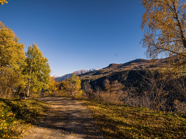 Herbststimmung bei Breil/Brigels im Bündner Oberland