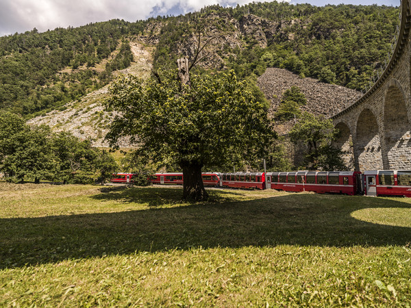 Die Rhätische Bahn beim berühmten Kreisviadukt bei Brusio im Puschlav.