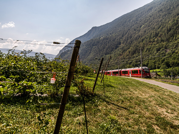 Die Rhätische Bahn bei Campsacio im Puschlav