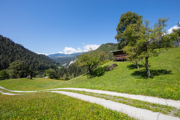 Carrera, Surselva, Graubünden, Schweiz, Switzerland