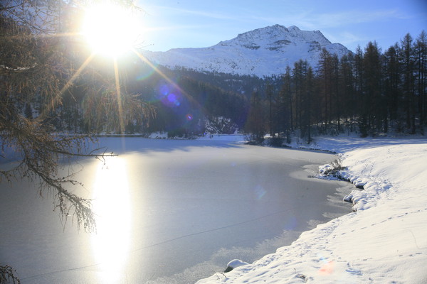 Champfer, Oberengadin, Engadine, Graubünden, Schweiz, Switzerland