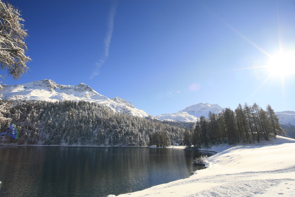 Champfer, Oberengadin, Engadine, Graubünden, Schweiz, Switzerland