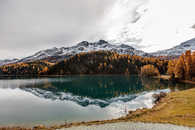 Foto: Champfer, Oberengadin, Engadine, Graubünden, Schweiz, Switzerland