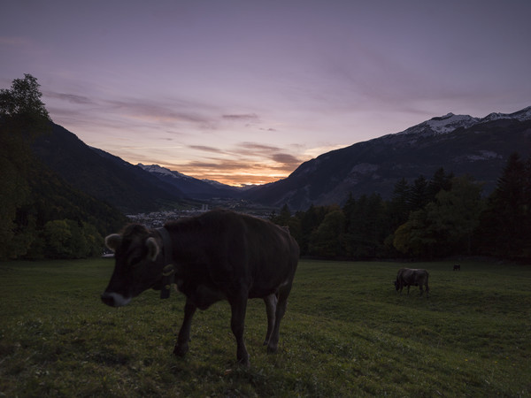 Abendstimmung beim Lürlibad oberhalb von Chur, Rheintal, Graubünden, Schweiz, Switzerland