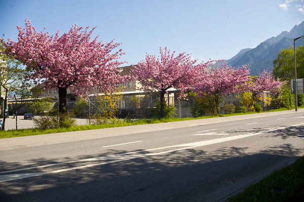 Kasernenstrasse in Chur im Mai