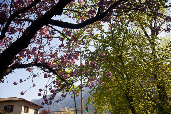 Kasernenstrasse in Chur im Mai