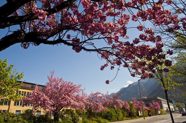 Kasernenstrasse in Chur im Mai