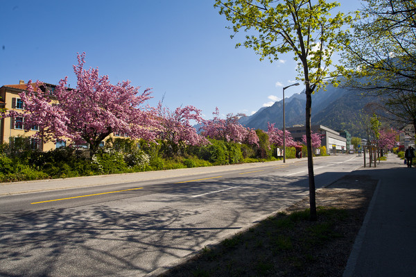 Kasernenstrasse in Chur im Mai