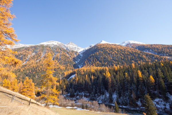 Cinuos-chel, Oberengadin, Engadine, Graubünden, Schweiz, Switzerland, Herbst