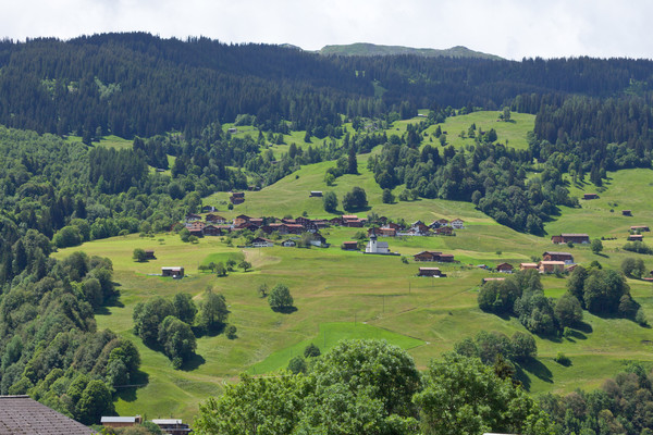 Conters, Prättigau, Graubünden, Schweiz, Sommer