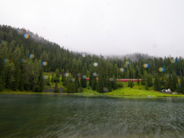 Die RhB bei Nebel und Regen beim Schwarzsee unterhalb von Davos
