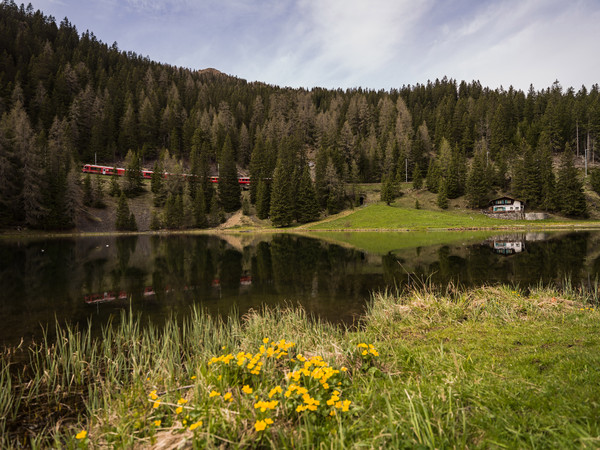 RhB bei Davos-Laret