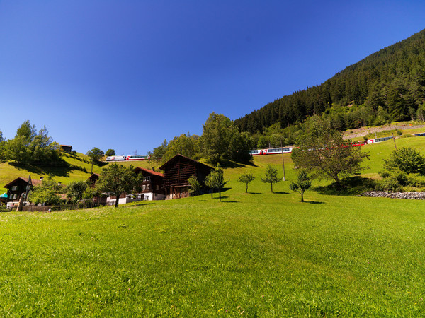 Blick von Disla auf den Glacier Express