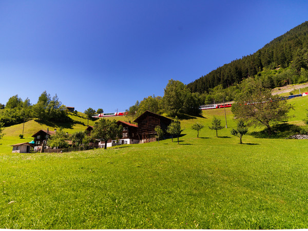 Blick von Disla auf den Glacier Express