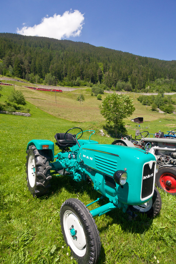 Oldtimer Traktoren bei Disla
