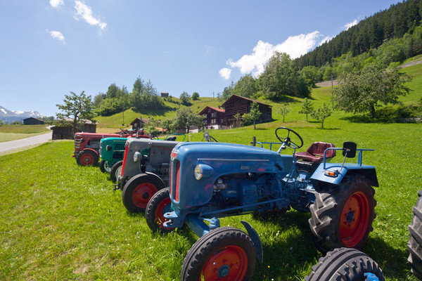 Oldtimer Traktoren bei Disla