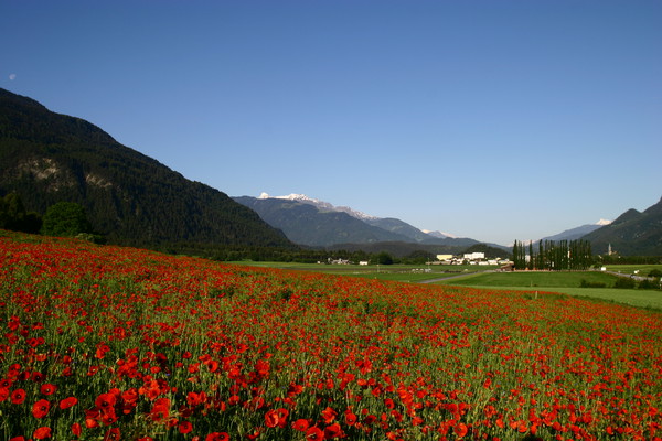 Monfeld bei Domat/Ems, Graubünden