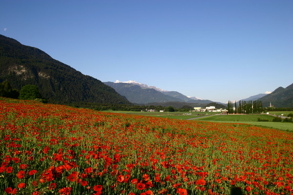 Monfeld bei Domat/Ems, Graubünden