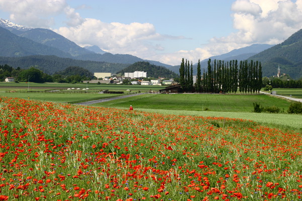 Monfeld bei Domat/Ems, Graubünden