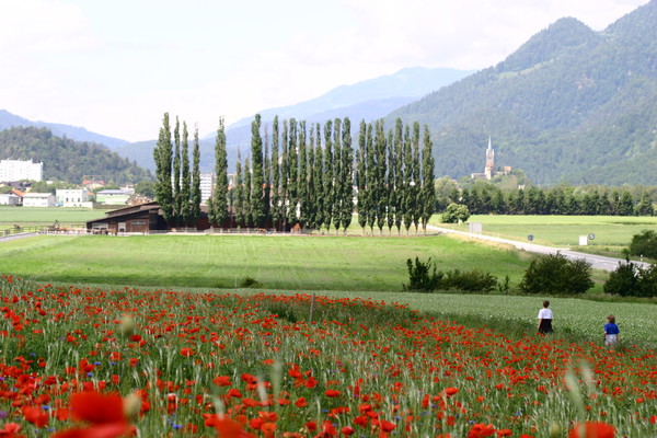 Monfeld bei Domat/Ems, Graubünden