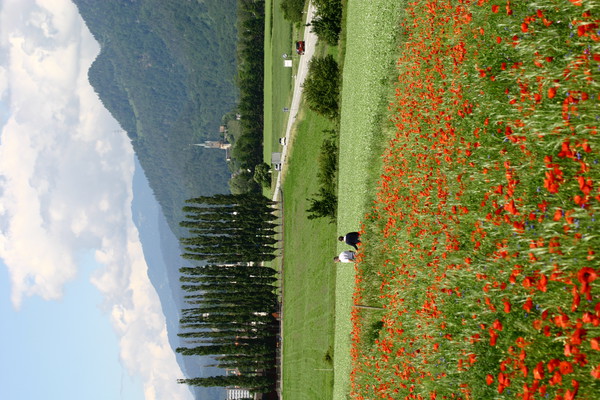 Monfeld bei Domat/Ems, Graubünden