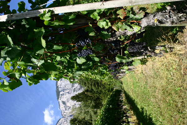 Blick auf Domat/Ems, Graubünden